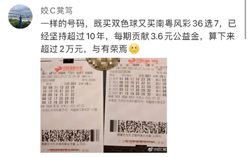 广东南粤风采36选7生肖走势图，探索与解读