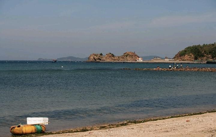 浙江省体育彩票20选5开奖号码的魅力与探索