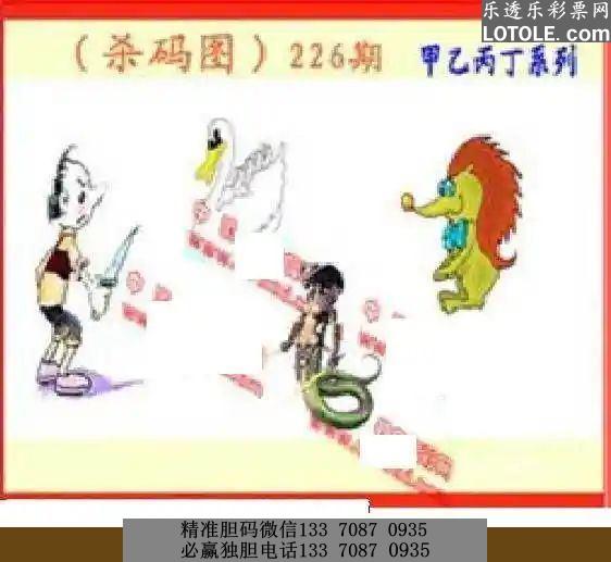 丹东全图图谜正版，探索与揭秘