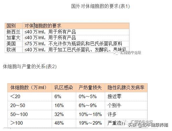 揭秘排三二码定胆策略，探索未知的数字世界