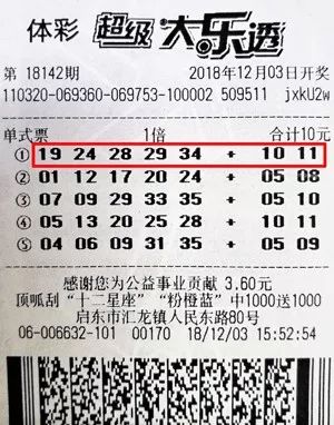 大乐透走势图全部浙江，探索彩票世界的奥秘与魅力