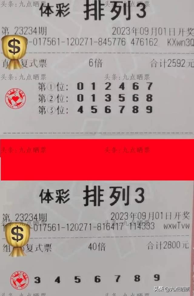 中国体育彩票店能否购买福彩3D？解读与探讨