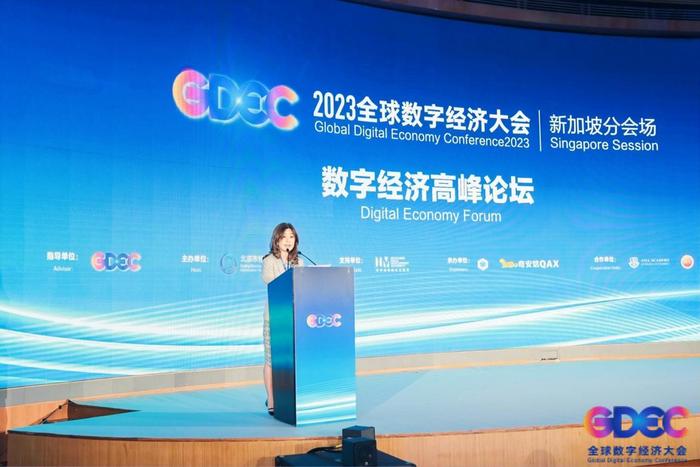 彩合网官网，探索数字世界的门户