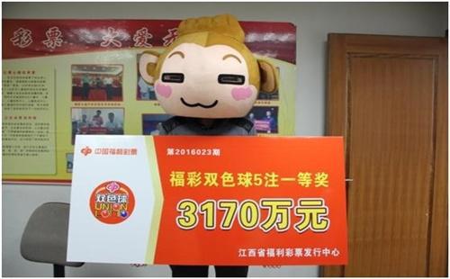 双色系开奖结果，探索与解析