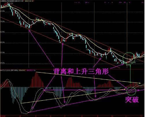 探索专业3D走势图与连线图的奥秘，一个专业视角的解读