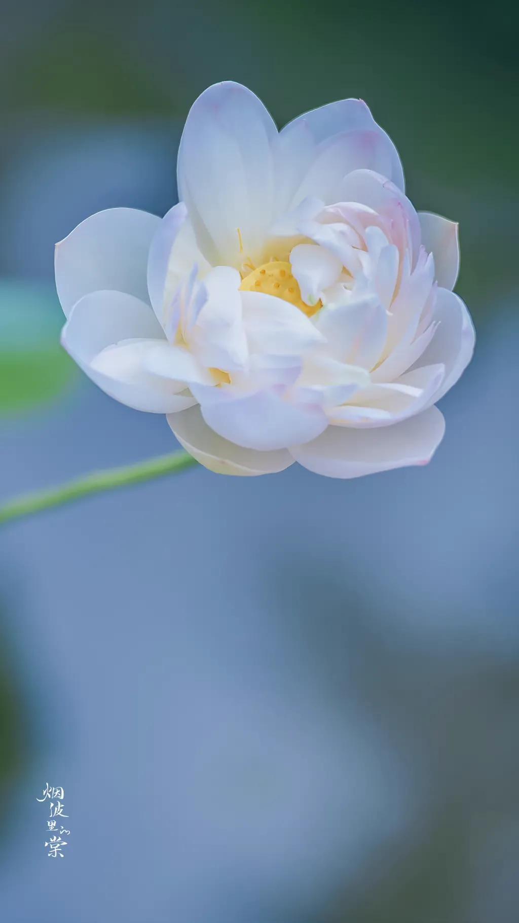 今晚星辉寂寥，触动心灵之歌的旋律