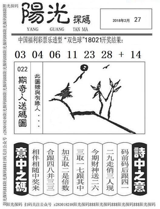 阳光探码与彩民乐，探索数字彩票的新世界