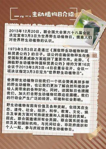 探索未知的奥秘，陈华胆码在3D彩票中的独特应用与启示（基于2020年第139期分析）