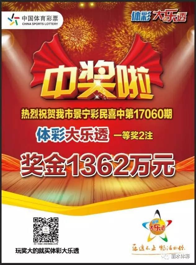 彩票中奖查询22028，揭秘幸运背后的故事