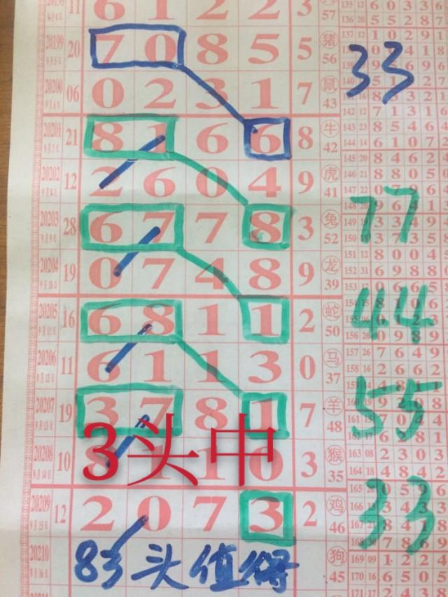 今日排列五开奖公告结果揭晓