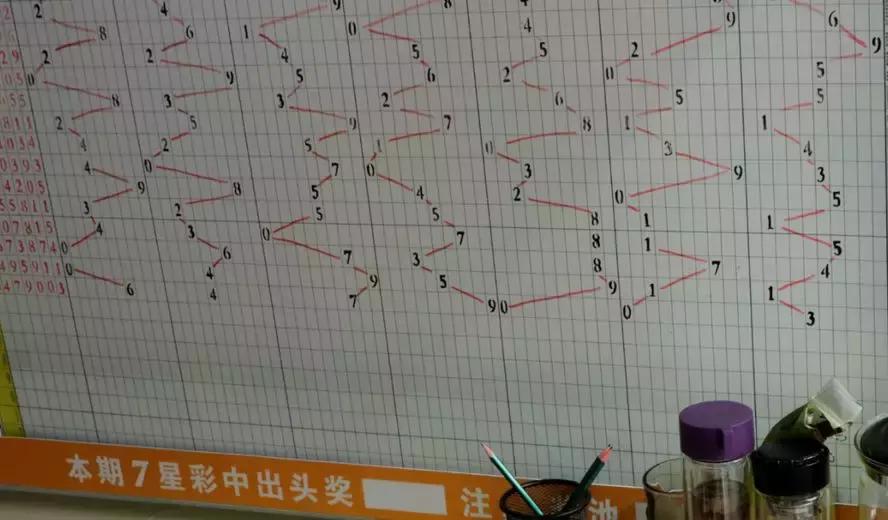 天天走势App，彩票投注的智能指南