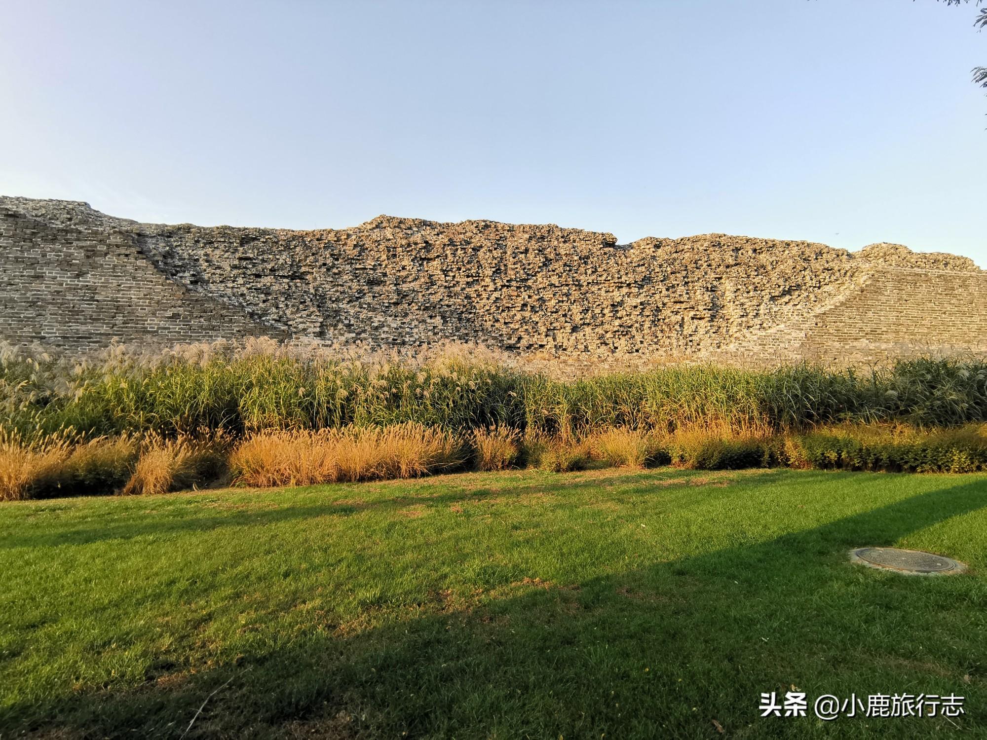 彩票走势预测器，探索未来的幸运之门
