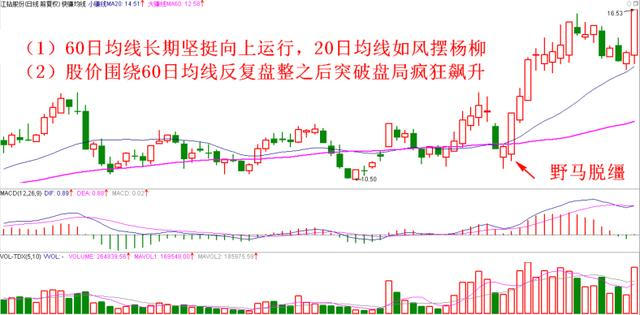 彩票走势教程，掌握彩票分析的关键步骤