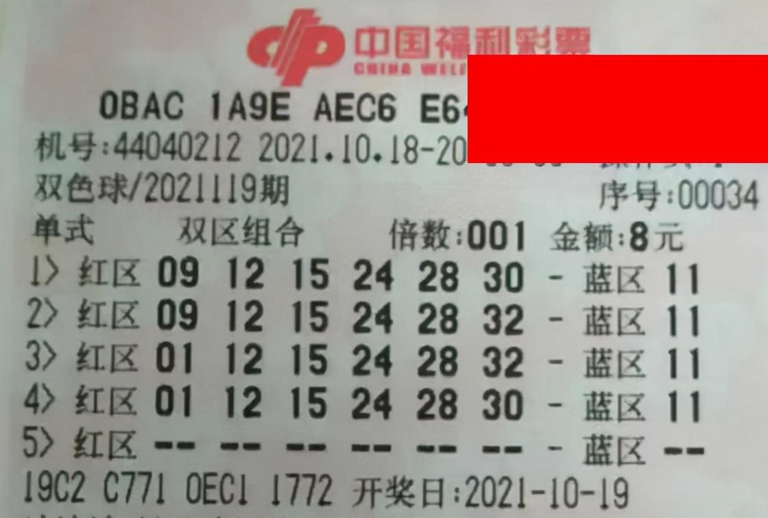 中国福利彩票双色球中奖查询结果图，梦想与希望的交汇点