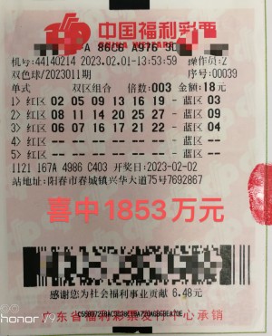 中国福利彩票双色球中奖查询结果2023年第87期，梦想与幸运交织的时刻