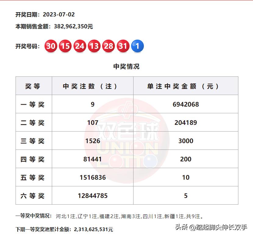 双色球最近100期开奖号码查询—电脑查询的便捷之道
