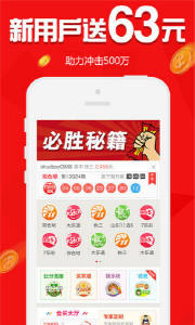王中王精准一码一肖一特，揭秘彩票预测的神秘面纱