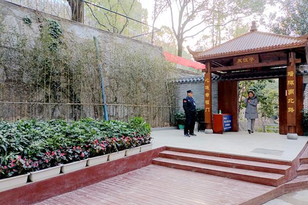 福利彩票3D中奖号码查询，揭秘幸运之门背后的秘密—以2021年第46期为例